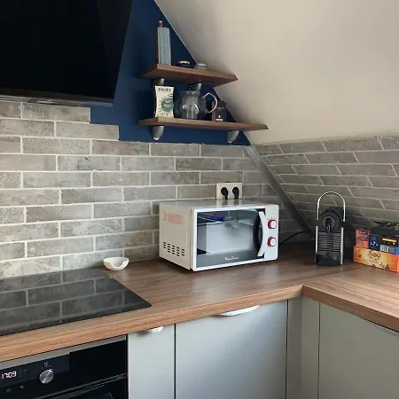 Spacieux Loft En Duplex Apartman