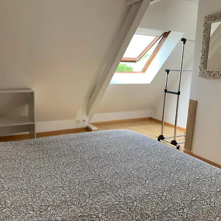 Spacieux Loft En Duplex * Strasbourg